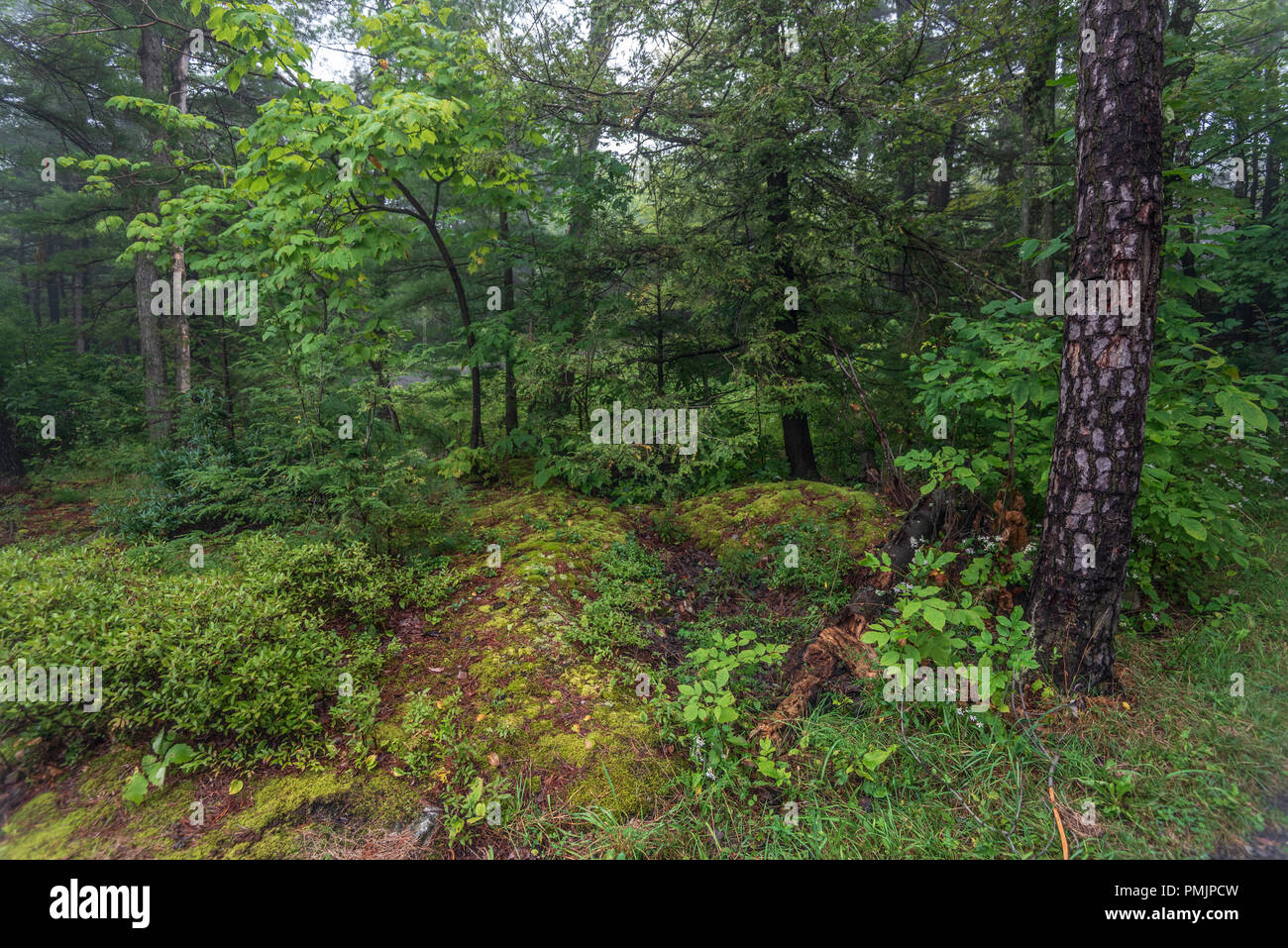 Lake Minnewaska in the Minnewaska State Park, New York Stock Photo Alamy