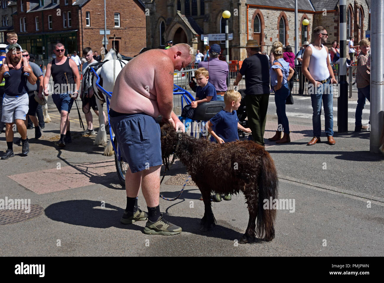 Obese Gypsy Traveller with miniature pony. Appleby Horse Fair 2018. The Sands, Appleby-in-Westmorland, Cumbria, England, United Kingdom, Europe. Stock Photo