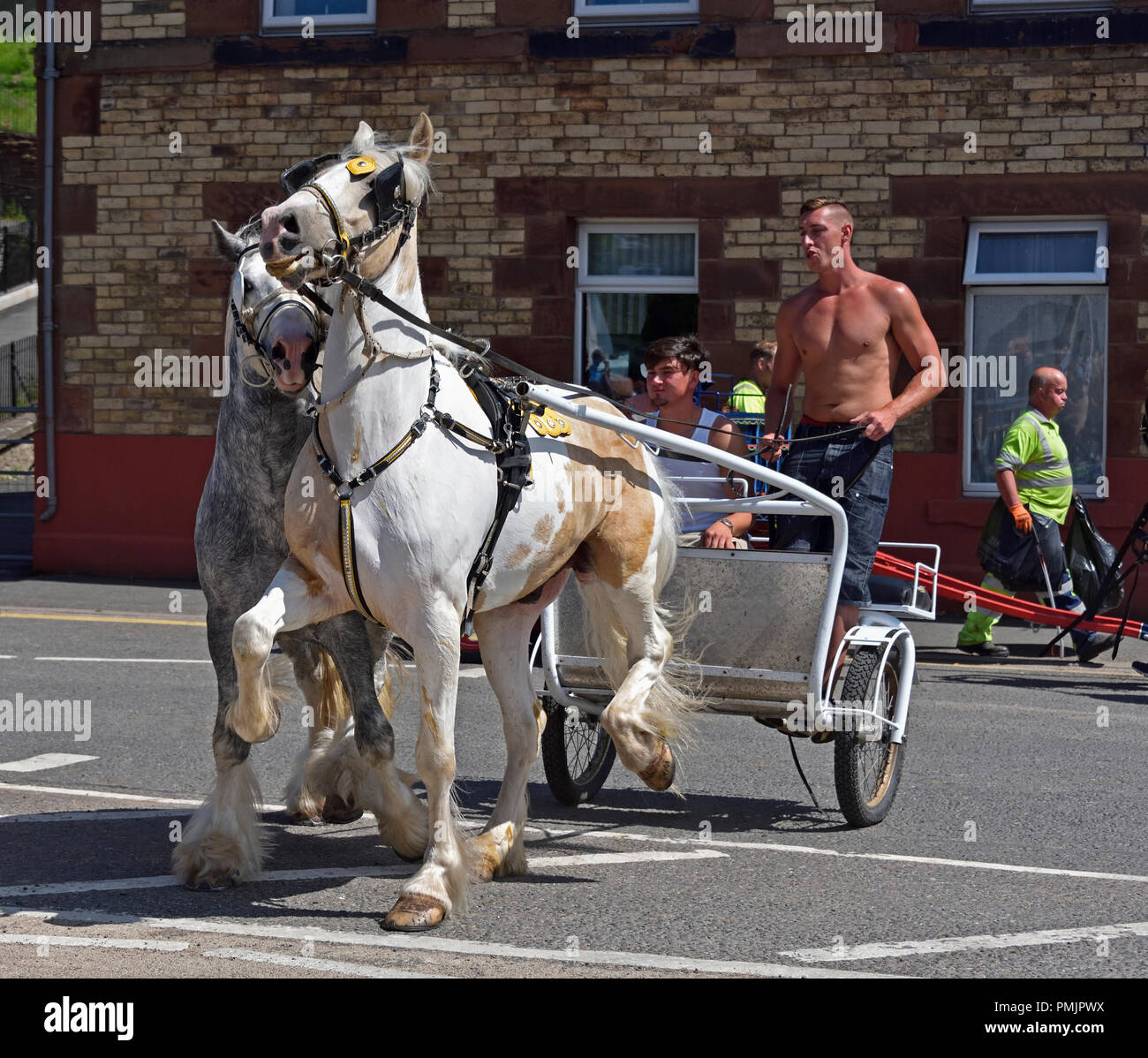 Two Gypsy Travellers riding on two horse trotting cart. Appleby Horse Fair 2018. The Sands, Appleby-in-Westmorland, Cumbria, England, United Kingdom. Stock Photo