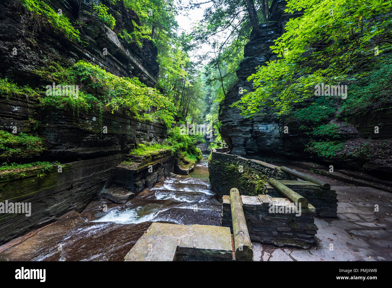 Robert H. Treman State Park: Gorge Trail Stock Photo - Alamy