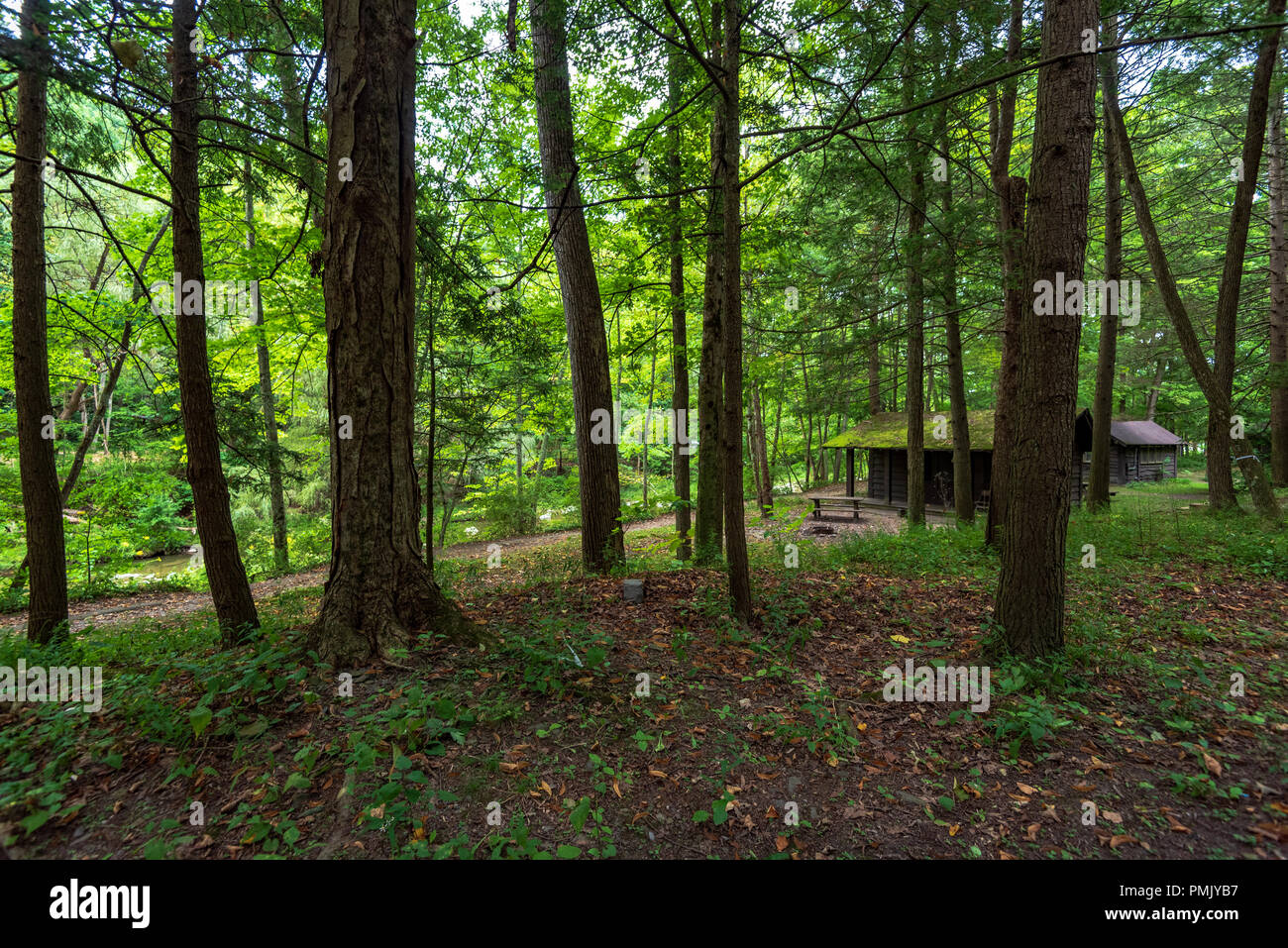 Robert H Treman State Park Camping Area Cabins Stock Photo