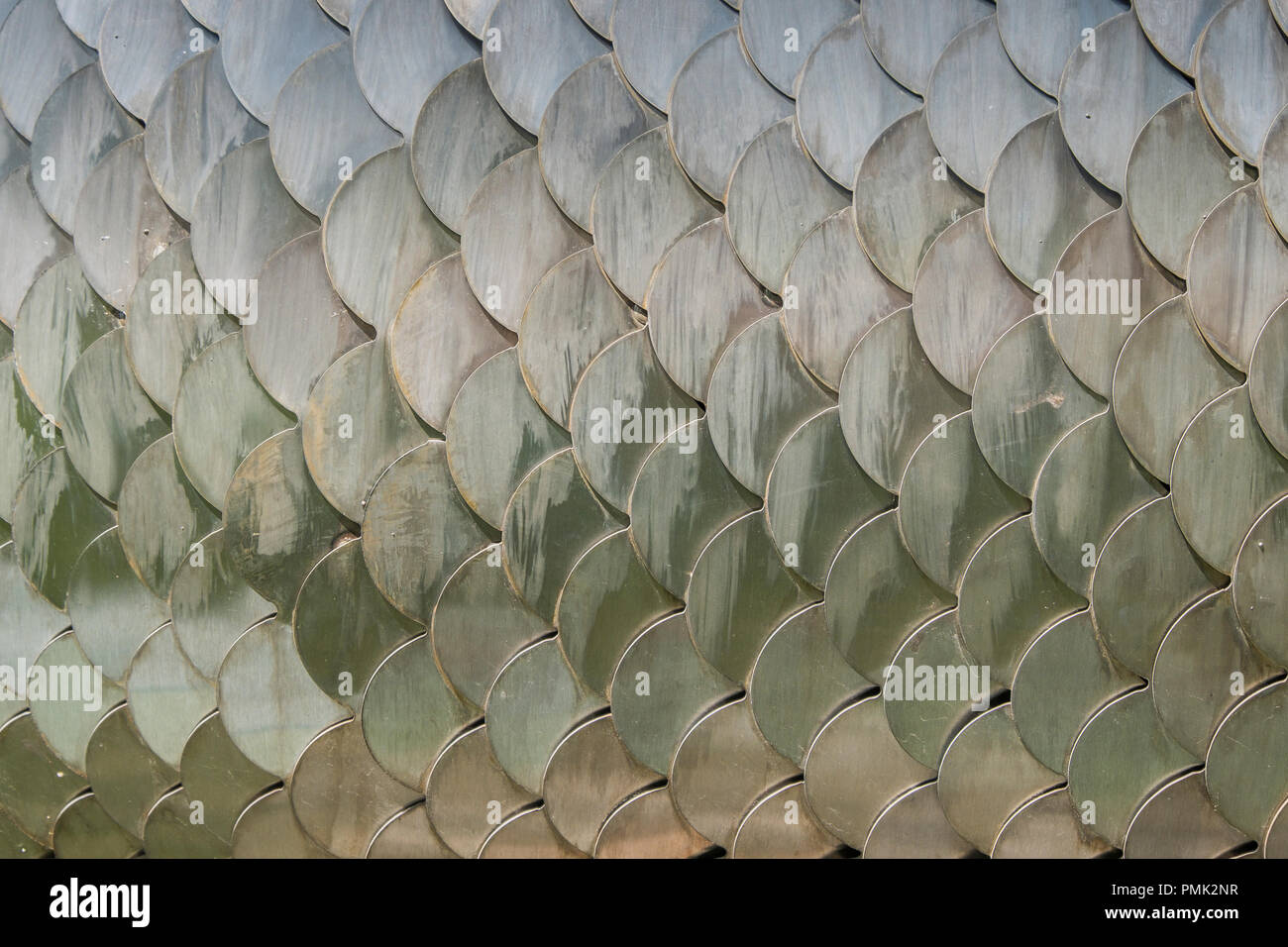 A close up of shiny metal fish scales create an abstract pattern Stock Photo Alamy