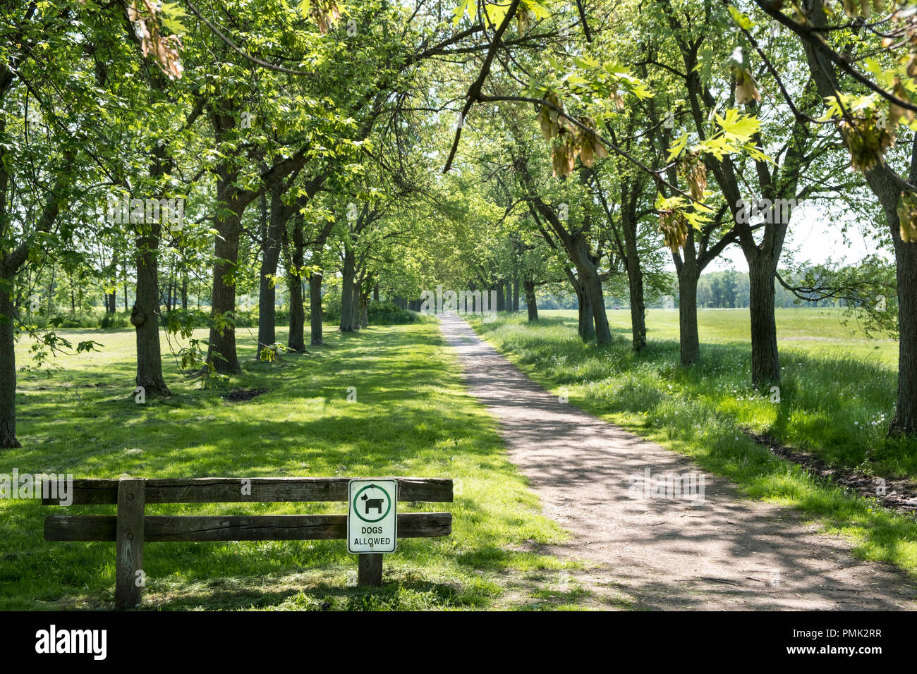 An off leash dog park at The Commons in Niagara on the Lake, Ontario, Canada. Stock Photo