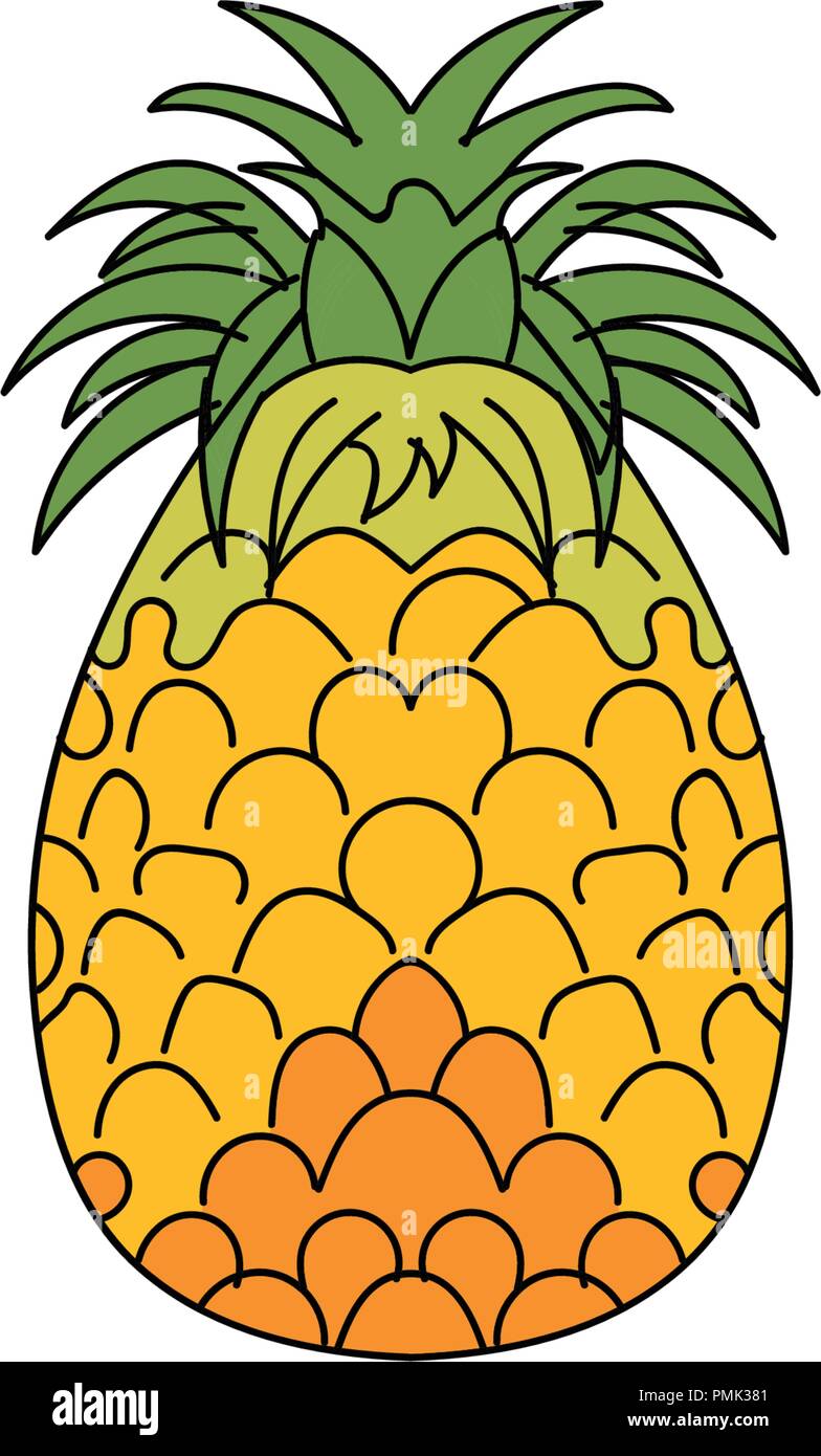 Pineapple fruit vector illustration Stock Vector Image & Art - Alamy