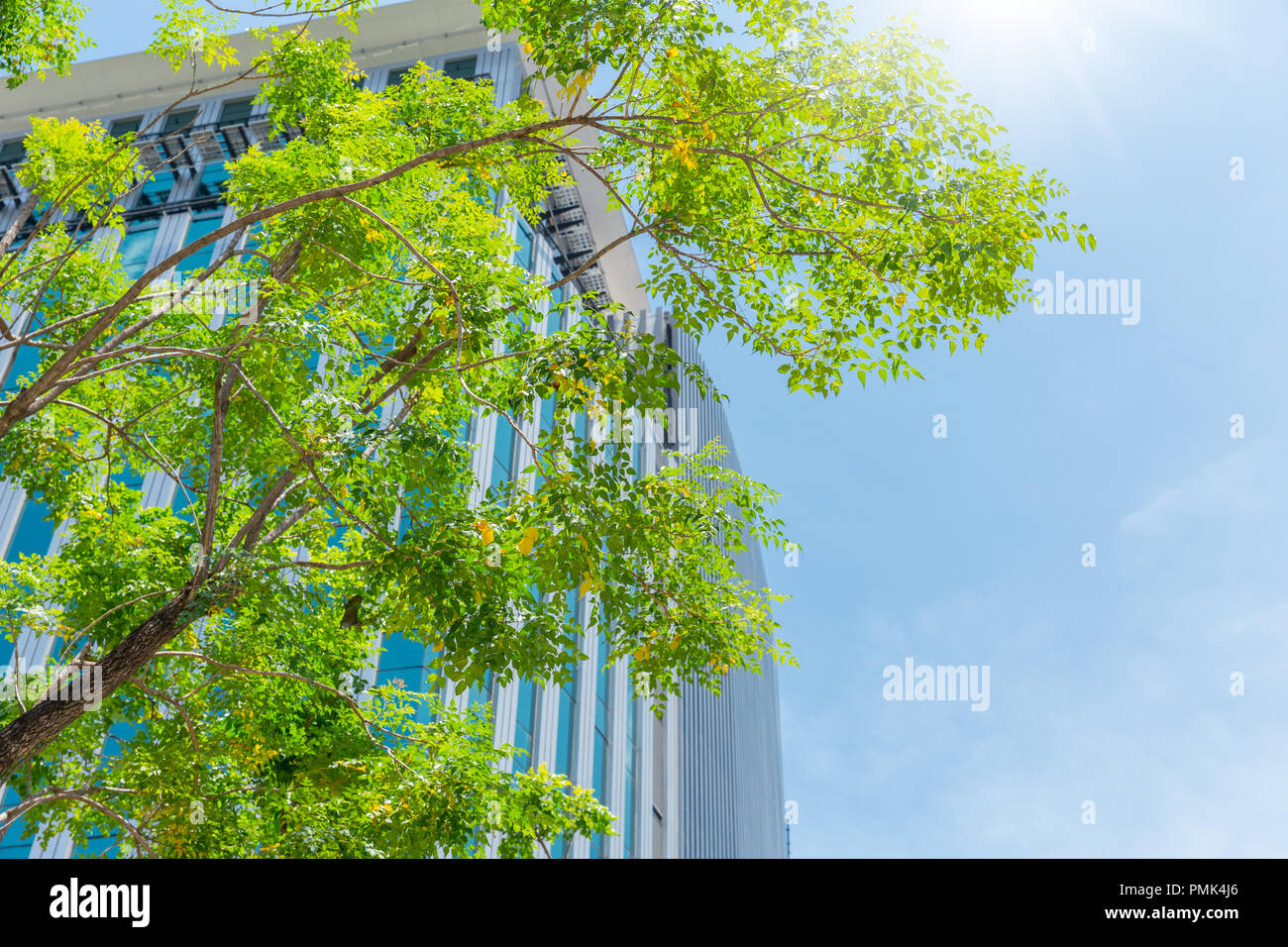 green city eco office building good environment green tree blue clear sky. Stock Photo