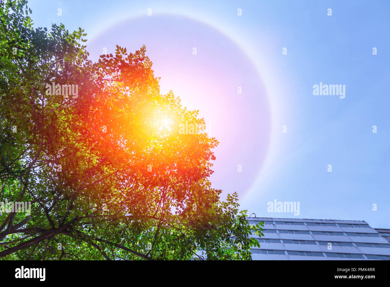 fantastic beautiful sun halo phenomenon in the city Stock Photo