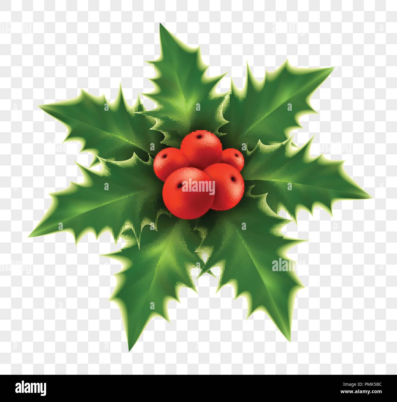Realistic Christmas holly isolated on background. Vector illustration Stock Vector