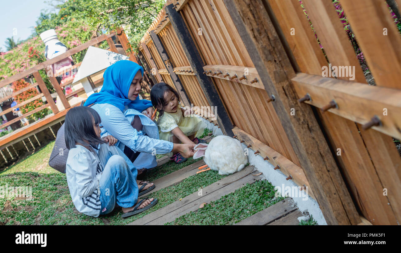 Young Muslim mother and her daughters play with rabbit Stock Photo - Alamy