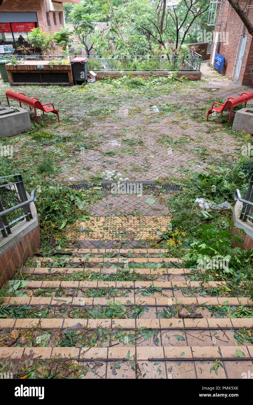 HONG KONG, SEP 17, 2018: Tree fall down and blocking the path, , after Super Typhoon Mangkhut hit Hong Kong Stock Photo