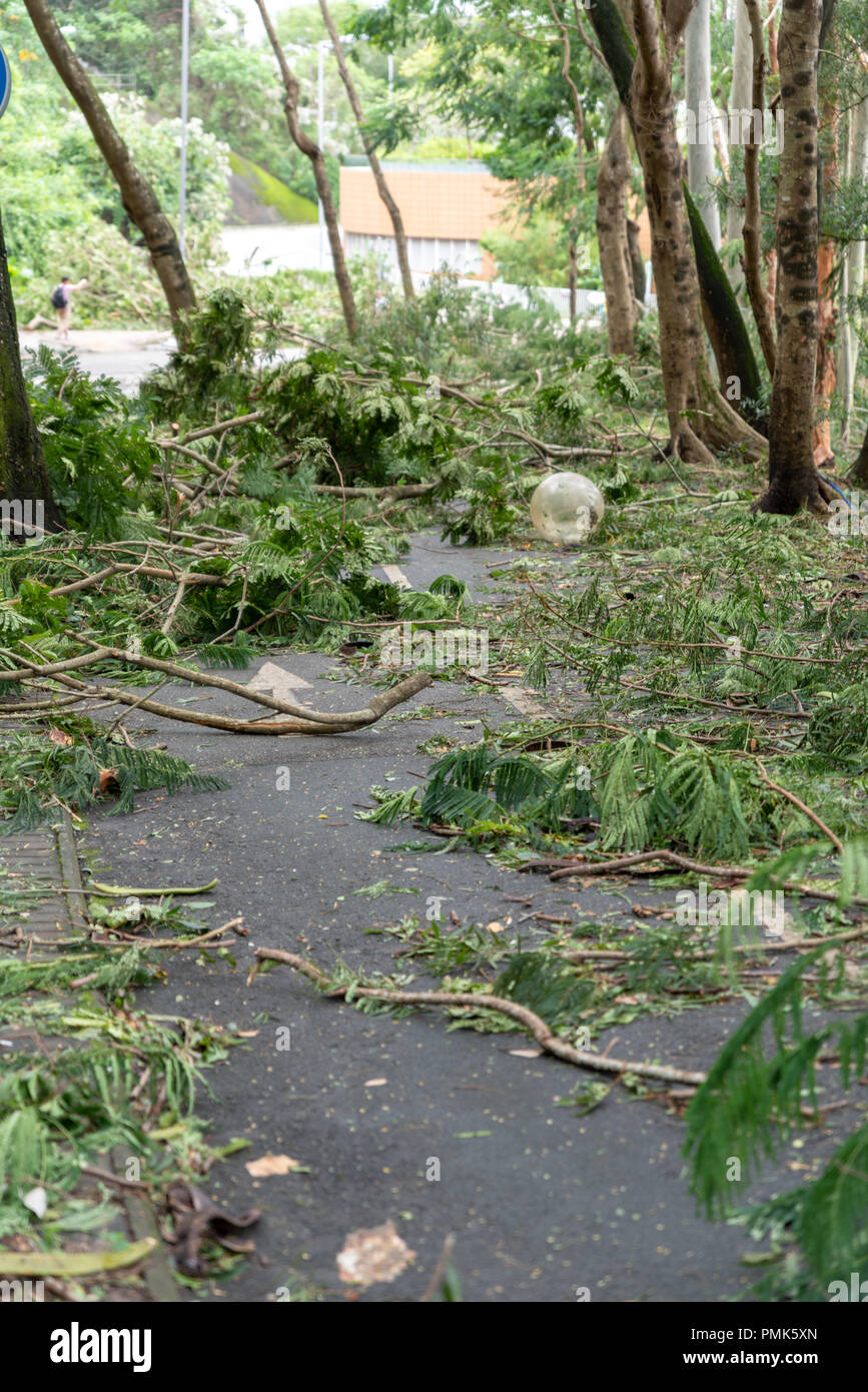 HONG KONG, SEP 17, 2018: Tree fall down and blocking the path, , after Super Typhoon Mangkhut hit Hong Kong Stock Photo