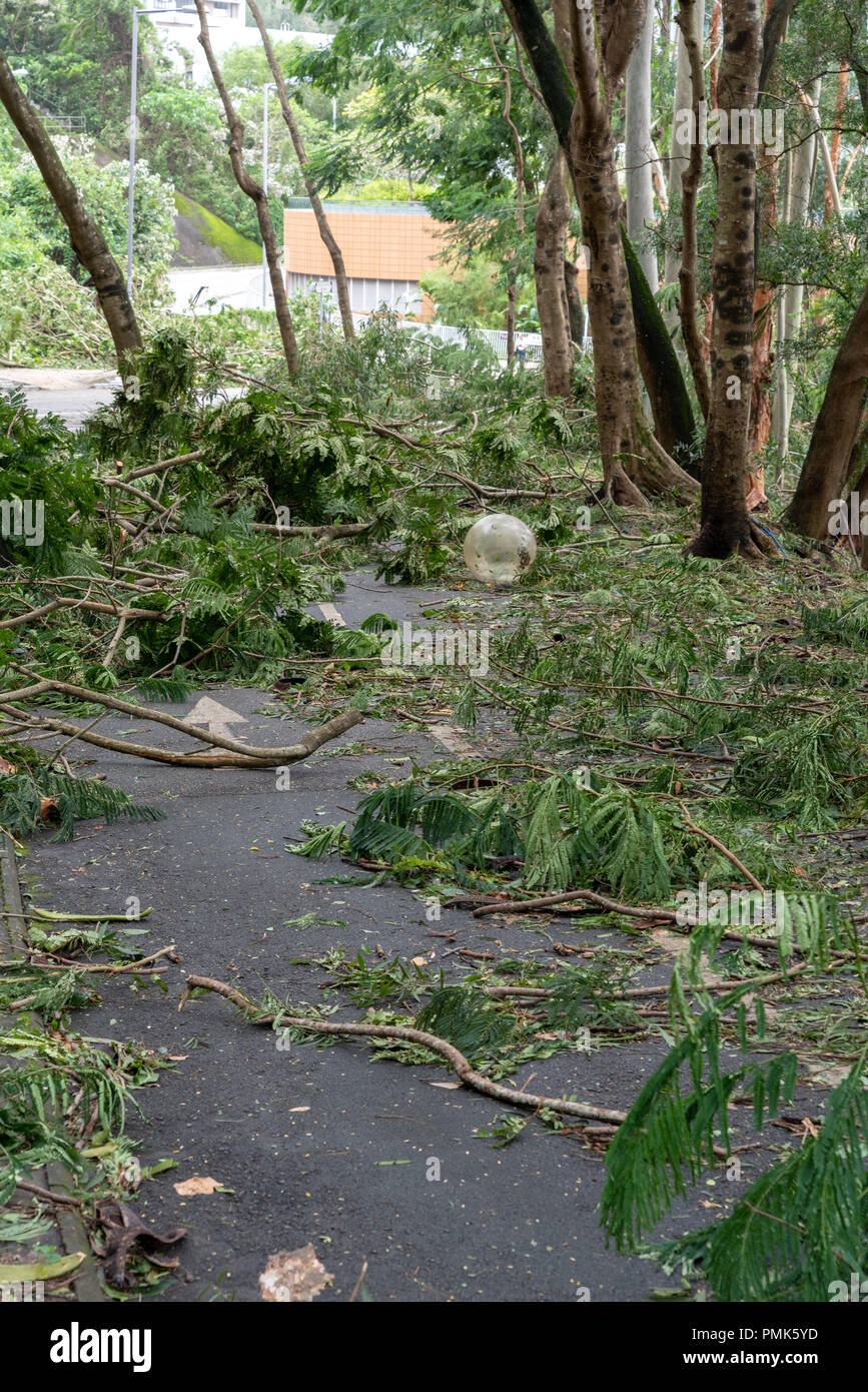 HONG KONG, SEP 17, 2018: Tree fall down and blocking the path, , after Super Typhoon Mangkhut hit Hong Kong Stock Photo
