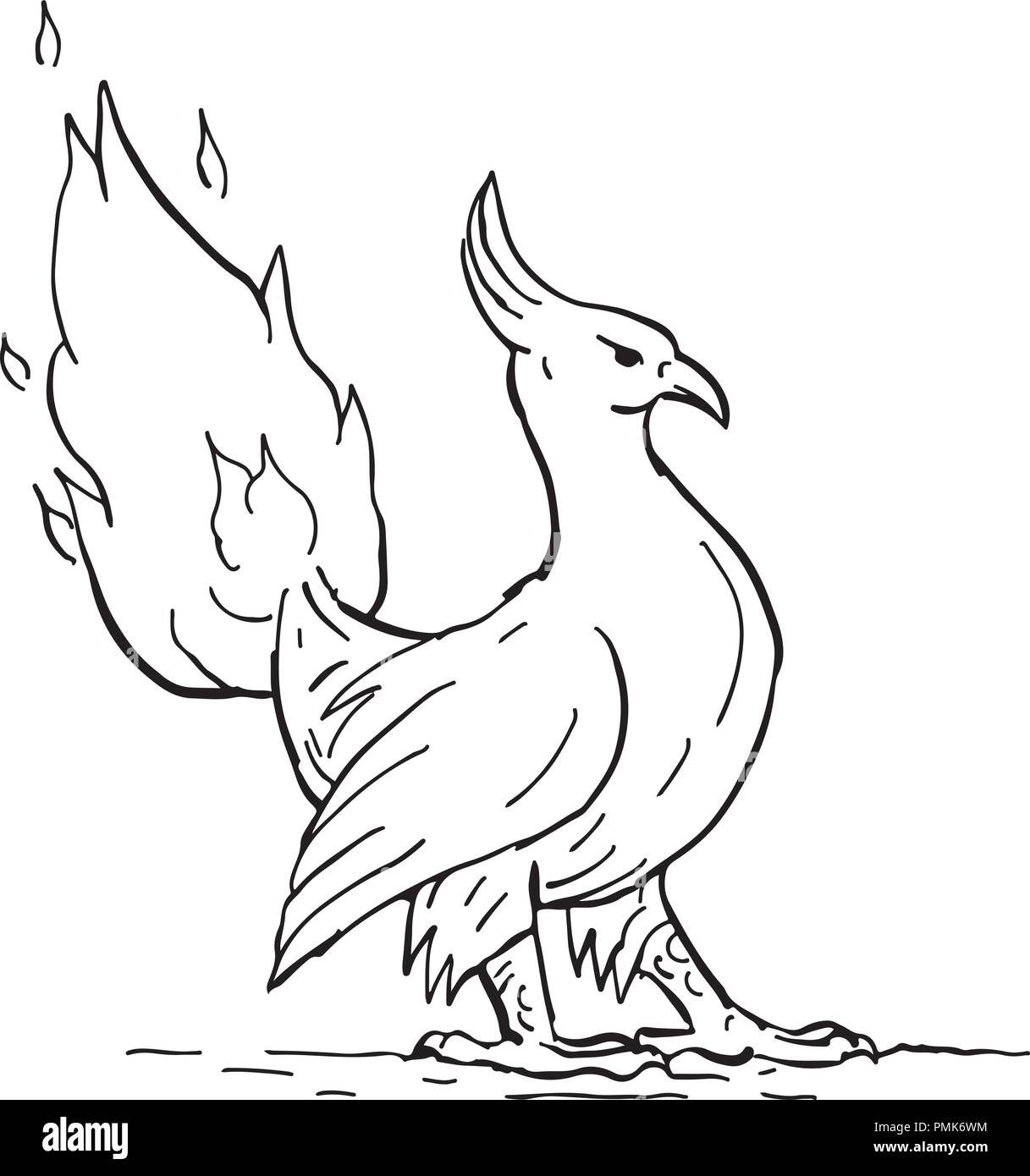 Drawing Sketch Style Illustration Of A A Phoenix In Greek Mythology A Long Lived Bird That Cyclically Regenerates Obtaining New Life By Rising From Stock Vector Image Art Alamy Drawing Sketch Style Illustration Of A A Phoenix In Greek Mythology A Long Lived Bird That Cyclically Regenerates Obtaining New Life By Rising From Stock Vector Image Art Alamy