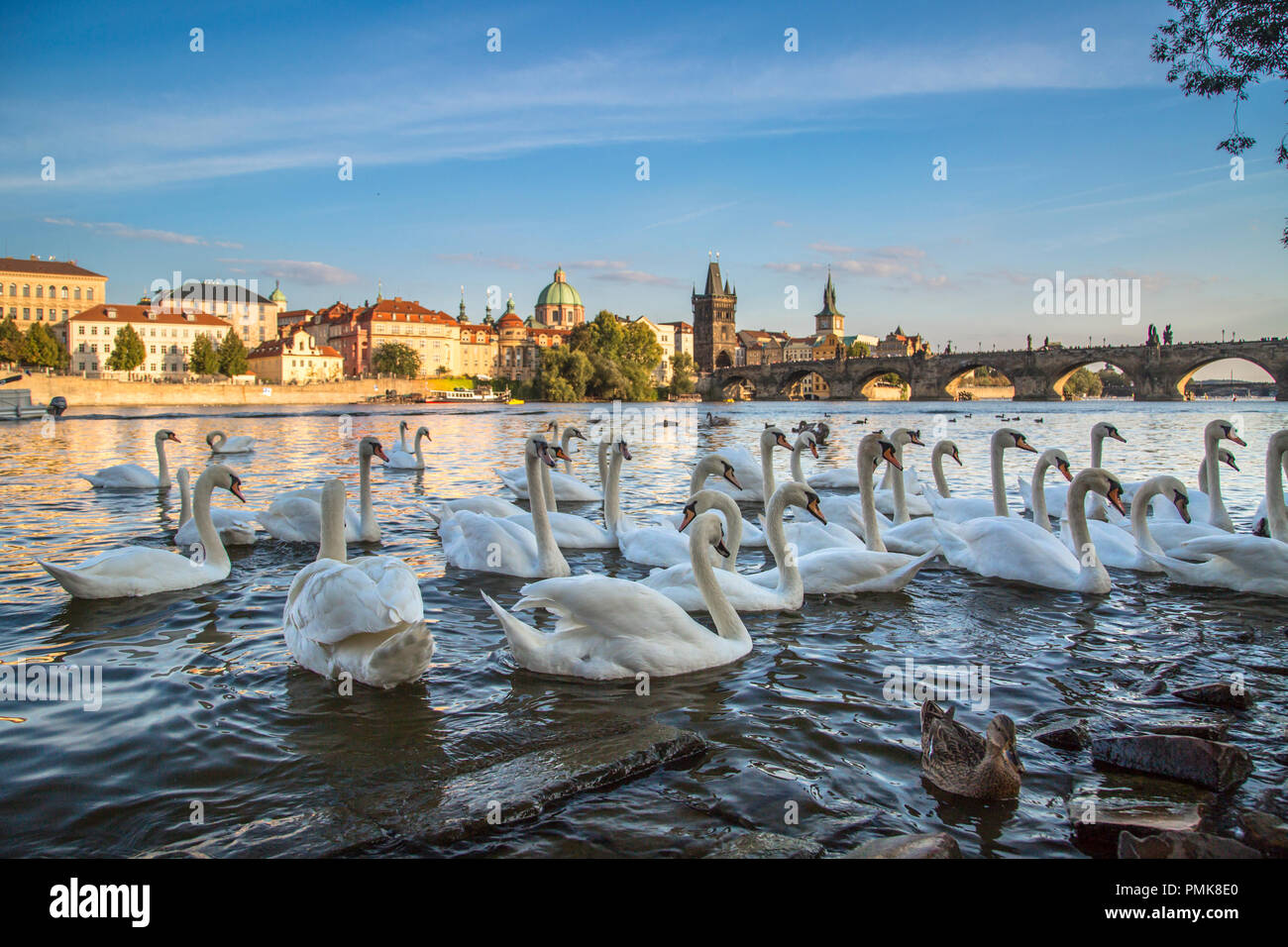 Charles Bridge and old town in Prague, Czech Republic. Stock Photo