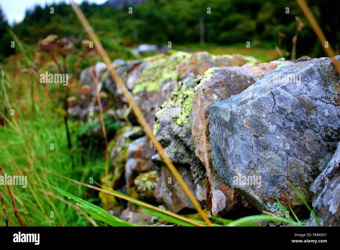 Dry stone wall wild flowers hi-res stock photography and images - Alamy