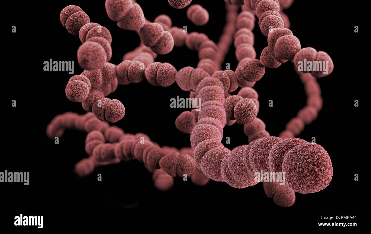 A 3D computer-generated image of a group of Gram-positive, Streptococcus pneumoniae bacteria. Stock Photo