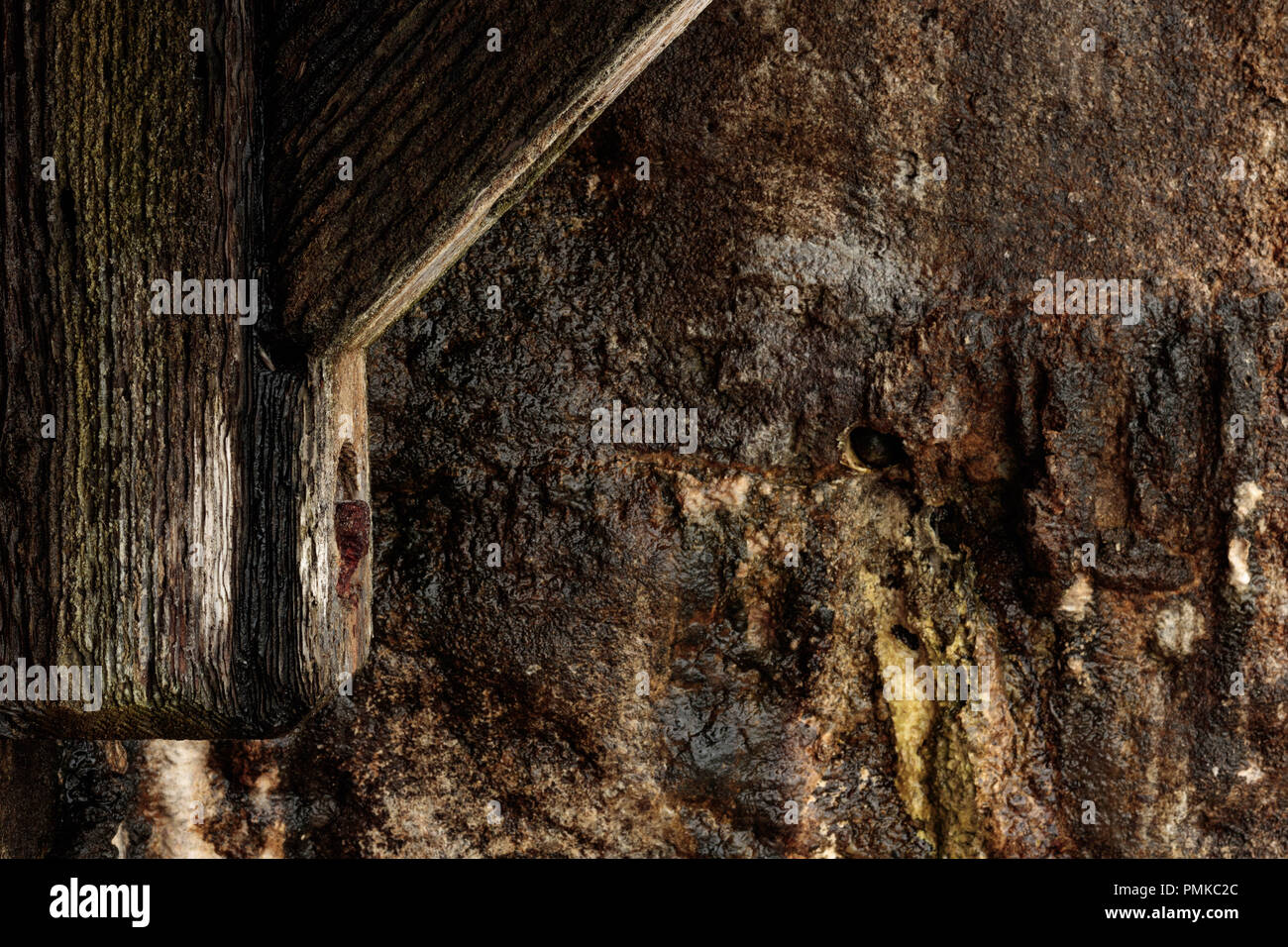 Nature background texture of old wood pier with rusted bolt detail in foreground with wet streaked moss sandstone wall in medieval fantasy background  Stock Photo