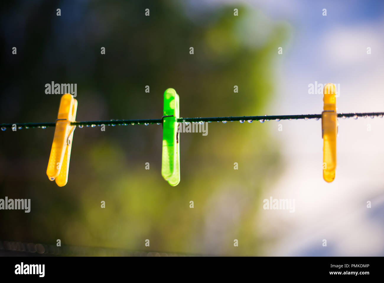 Clothes Pins around Brisbane city in Queensland, Australia. Australia
