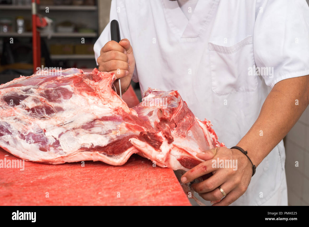In-Depth Guide to Owning a Meat Knife in 2023 – Dalstrong