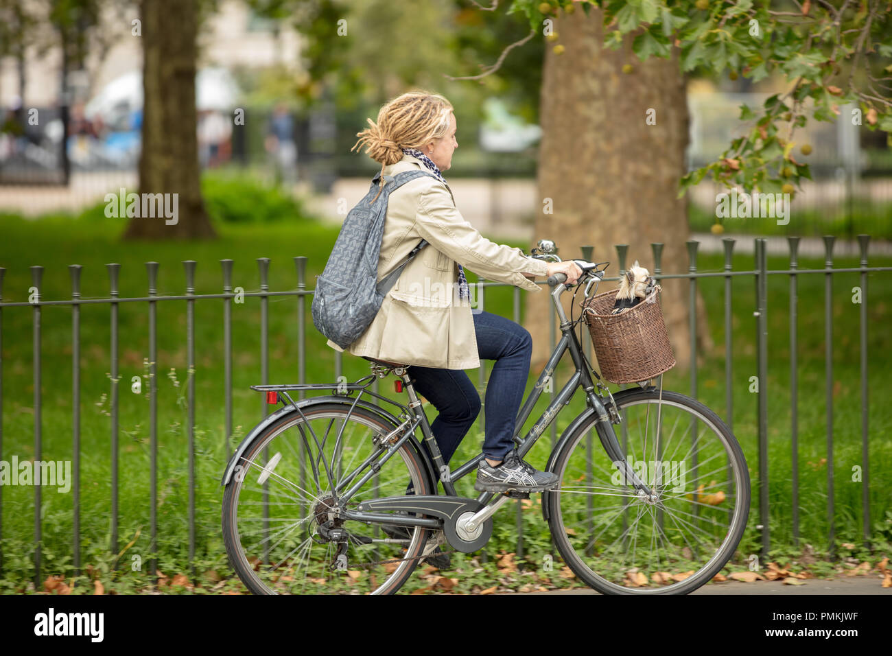 London cycling in Hyde Park UK. Individual female cyclist, on the traffic free cycling path, taking her dog out, enjoying the great outdoors. Stock Photo