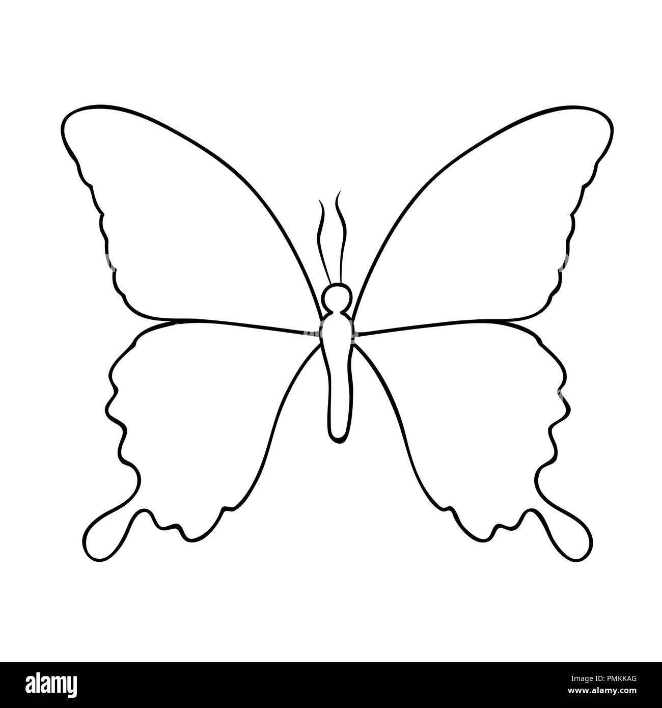 butterfly line drawing isolated on a white background vector illustration EPS10 Stock Vector