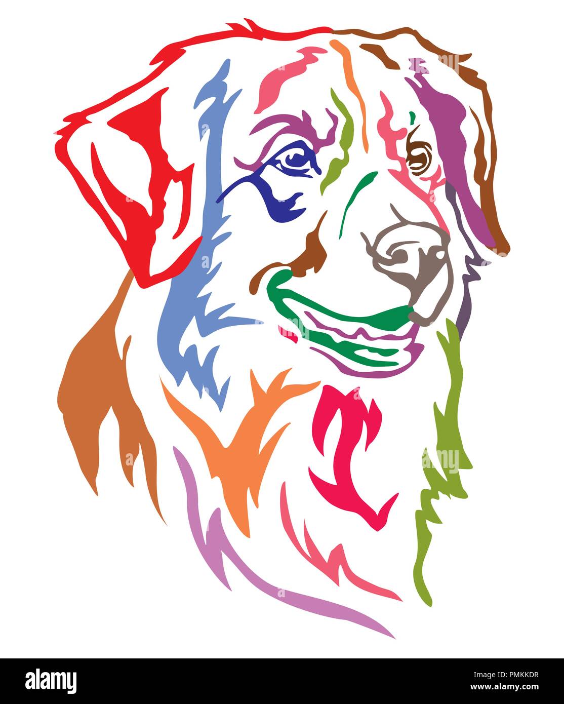 Colorful decorative portrait of dog Nova Scotia Duck Tolling Retriever, vector illustration in different colors isolated on white background Stock Vector