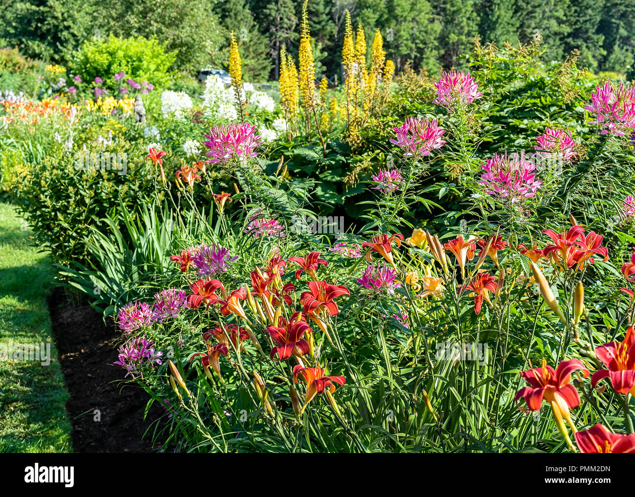 Perennial flower bed with red daylilies in the foreground Stock Photo