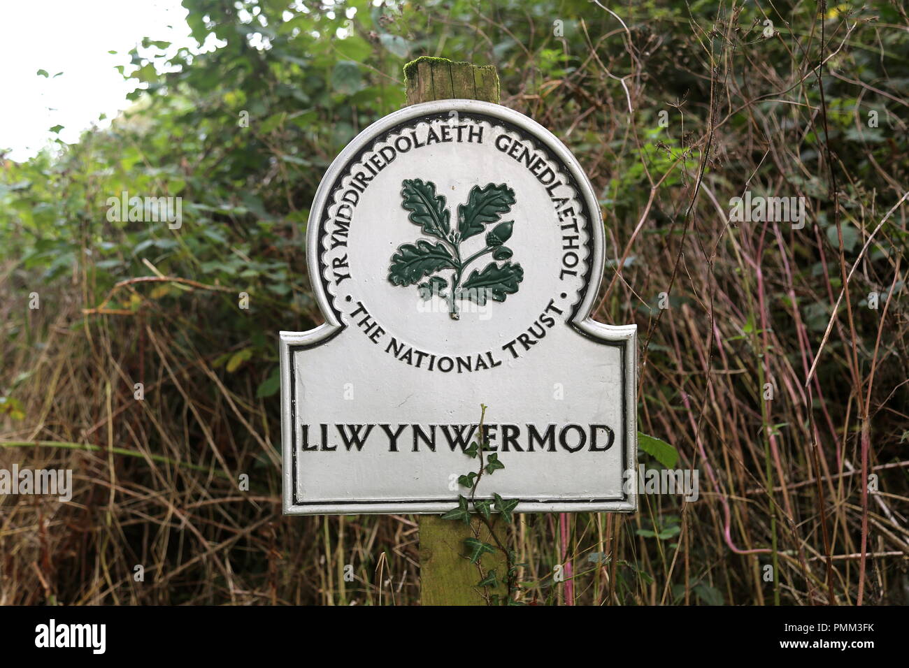 Llwynwermod hires stock photography and images Alamy