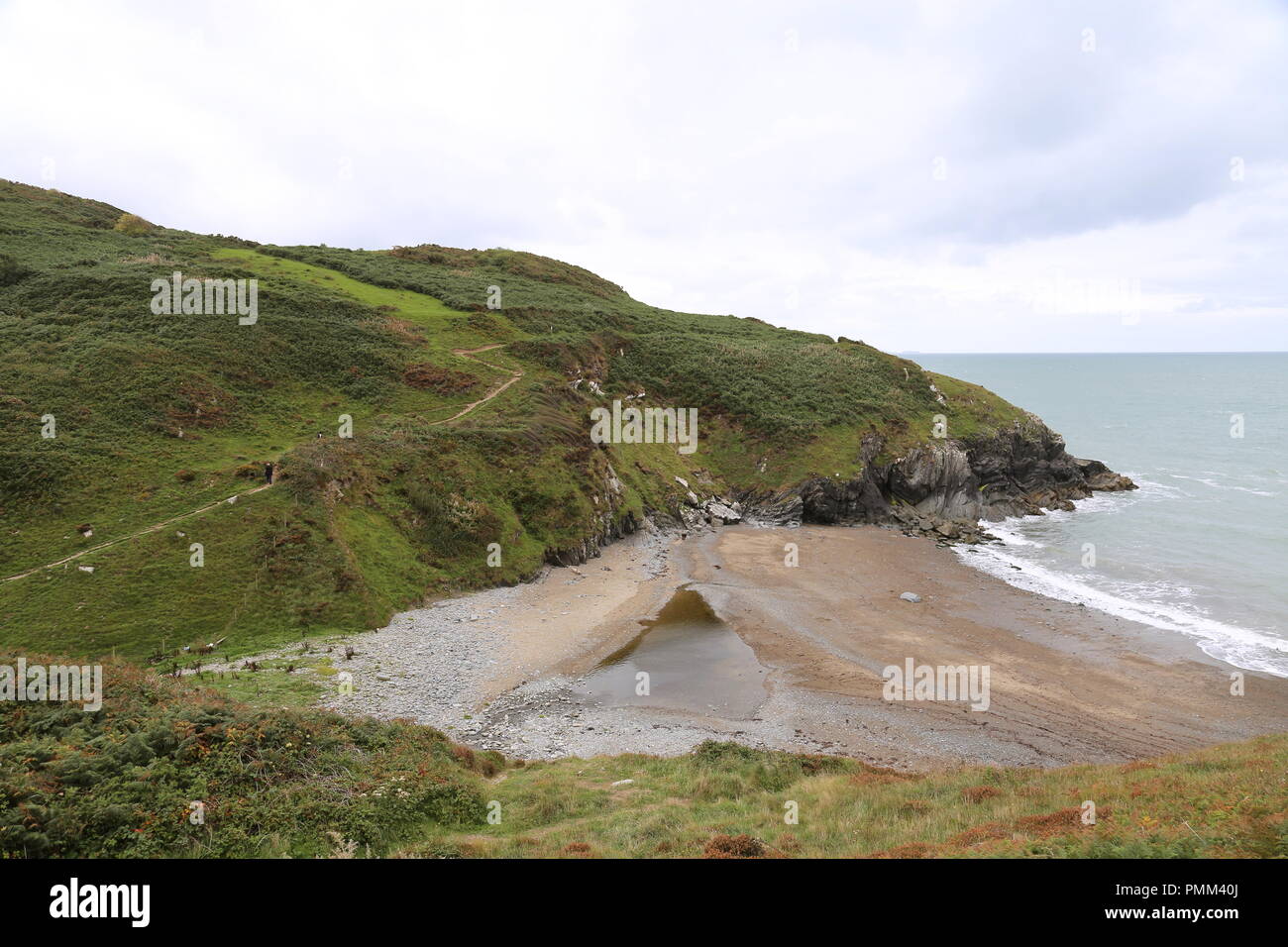 Coast Path at Cwm Silio between New Quay and Cwmtydu, Cardigan Bay, Ceredigion, Wales, Great Britain, United Kingdom, UK, Europe Stock Photo