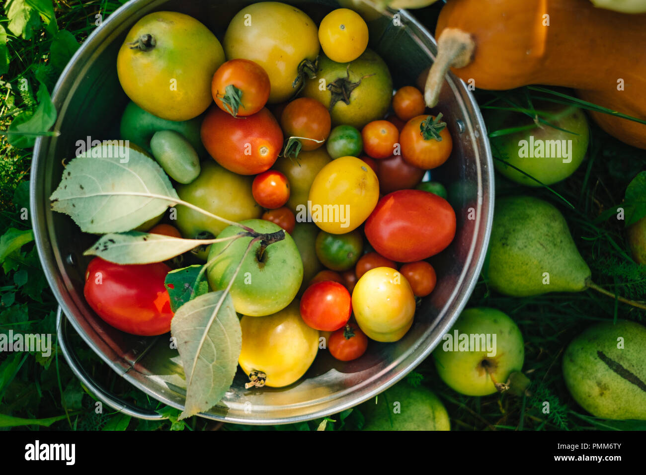 Fresh organic fruit and vegetables in the garden Stock Photo - Alamy