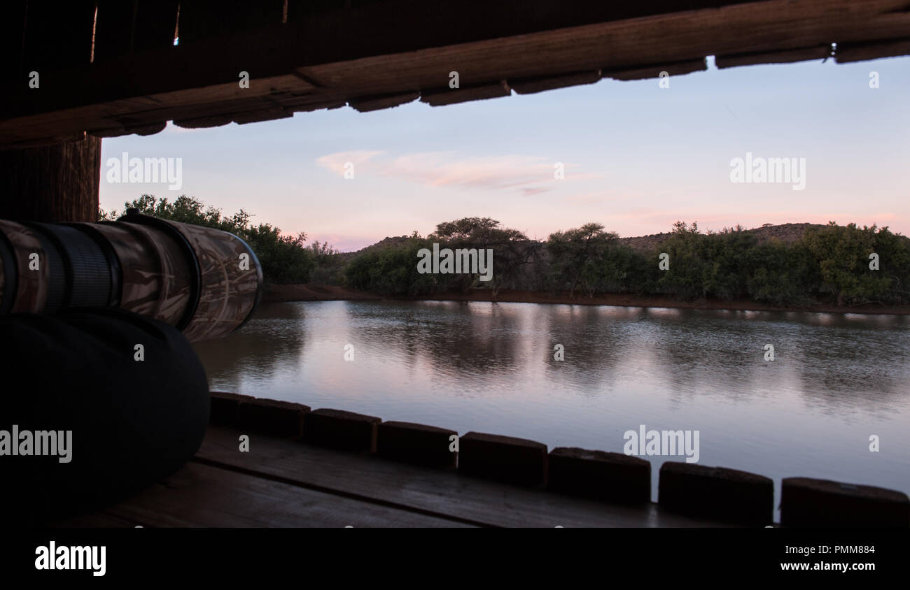 Camera lens looking out of a bird hide, South Africa Stock Photo Alamy