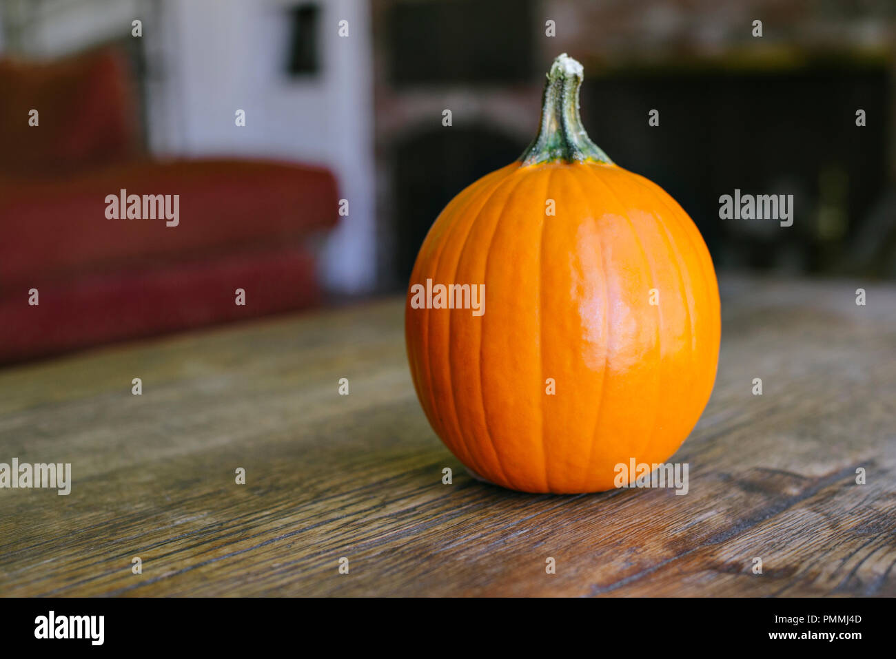 Small pumpkin on a farm table with copy space Stock Photo