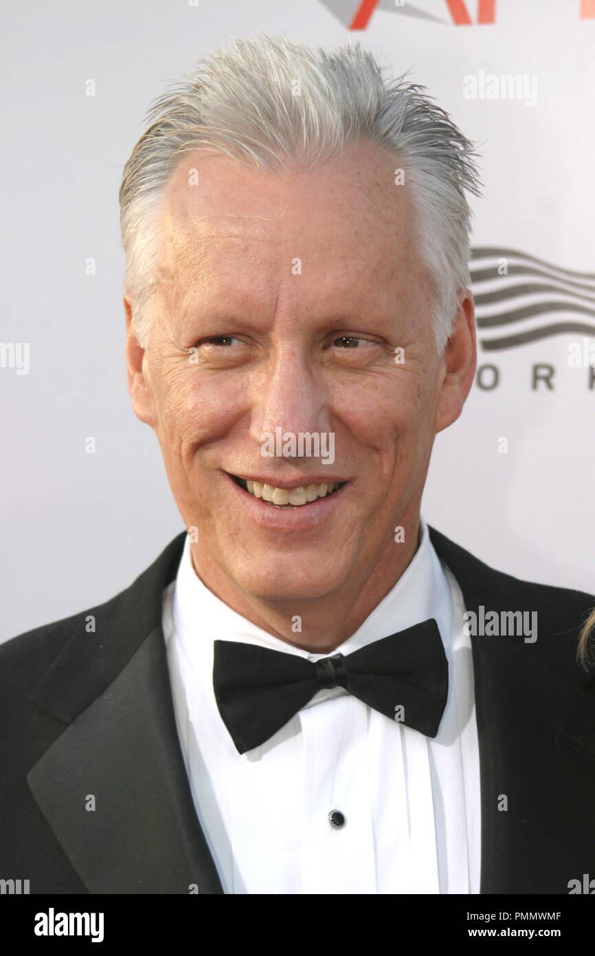 06/10/2004 James Woods AFI LIFETIME ACHIEVEMENT AWARD - A TRIBUTE TO MERYL STREEP @ The Kodak Theater, Hollywood Photo by Kazumi Nakamoto / HNW / Picturelux File Reference # 31378 074HNW  For Editorial Use Only -  All Rights Reserved Stock Photo