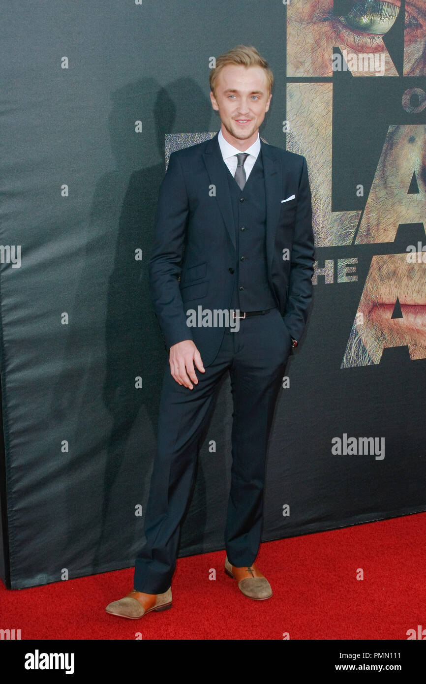 Tom felton red carpet event hi-res stock photography and images - Alamy