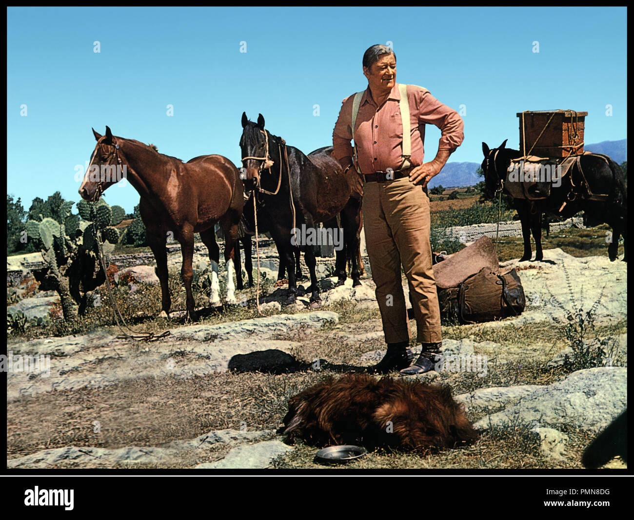 movie big jake john wayne