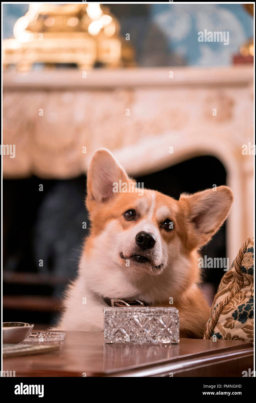 Prod Db Walt Disney Pictures Amblin Entertainment