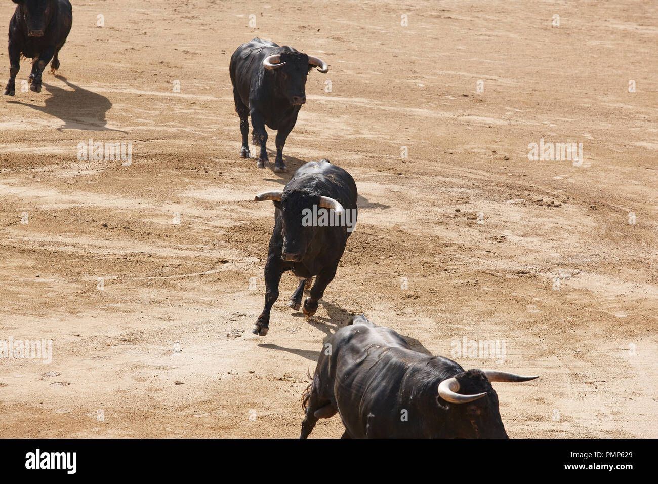 Strong Pain Killer High Resolution Stock Photography and Images - Alamy