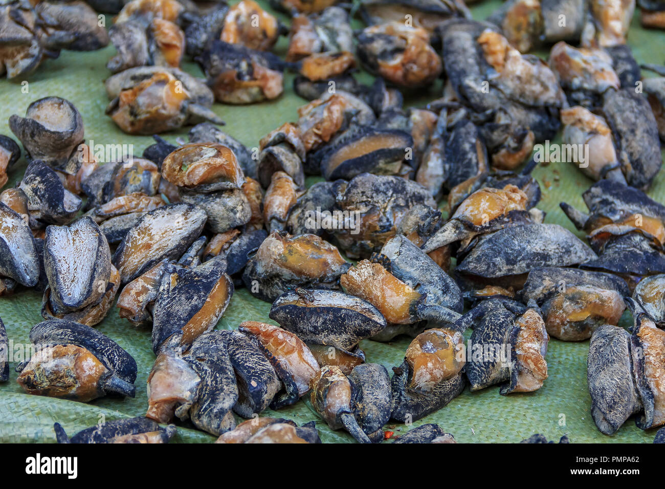 Dried abalone on display at a Chinese market in Xiamen, China Stock