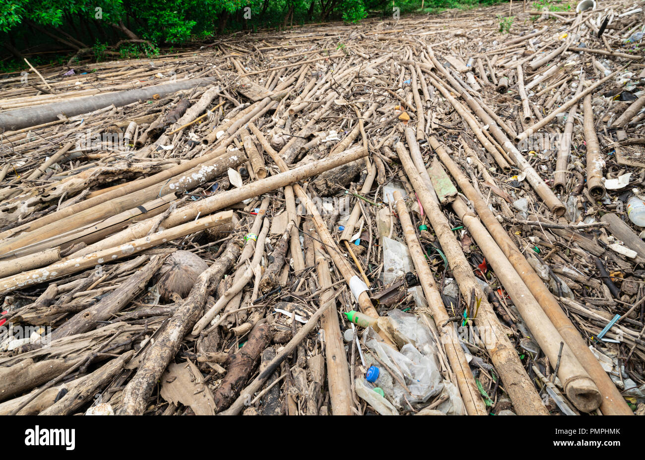 Dry bamboo and plastic bag on mangrove forest. Waste in the sea problem