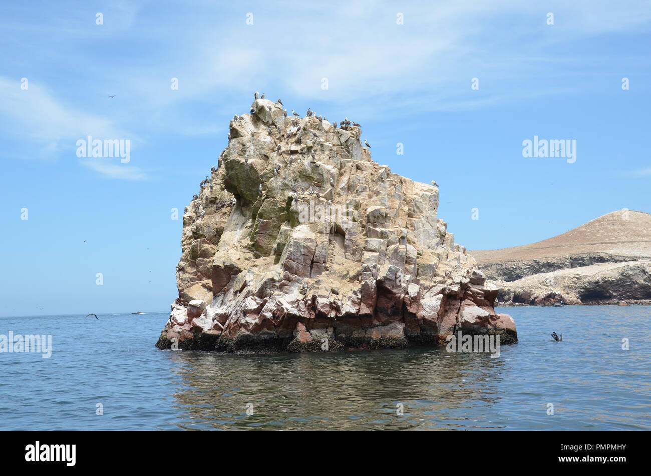 Wild birds on small rocky island which is one of Ballestas Islands on Pacific Ocean near to city Paracas in Peru. Stock Photo