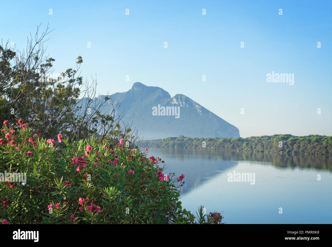 View of Sabaudia lake - Circeo National Park - Latina Italy Stock Photo ...