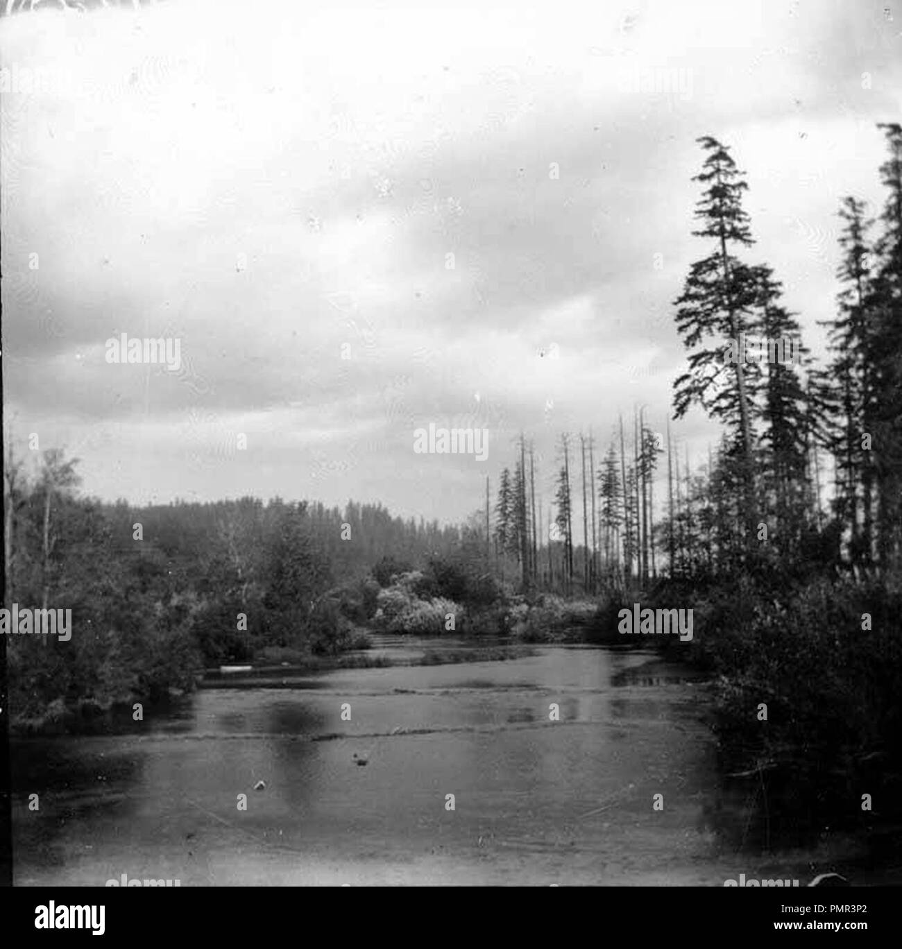 Black River from the wagon bridge, looking upstream, Gate City