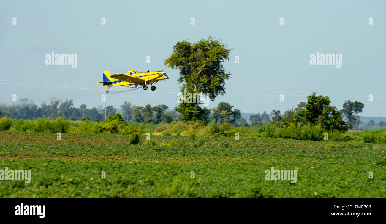 A small plane spreads chemicals and pesticides over the farm fields Stock Photo