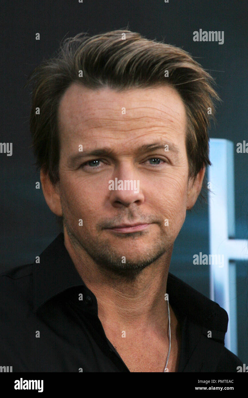 Sean Patrick Flanery 03/19/2013 "The Host" Premiere held at the ...