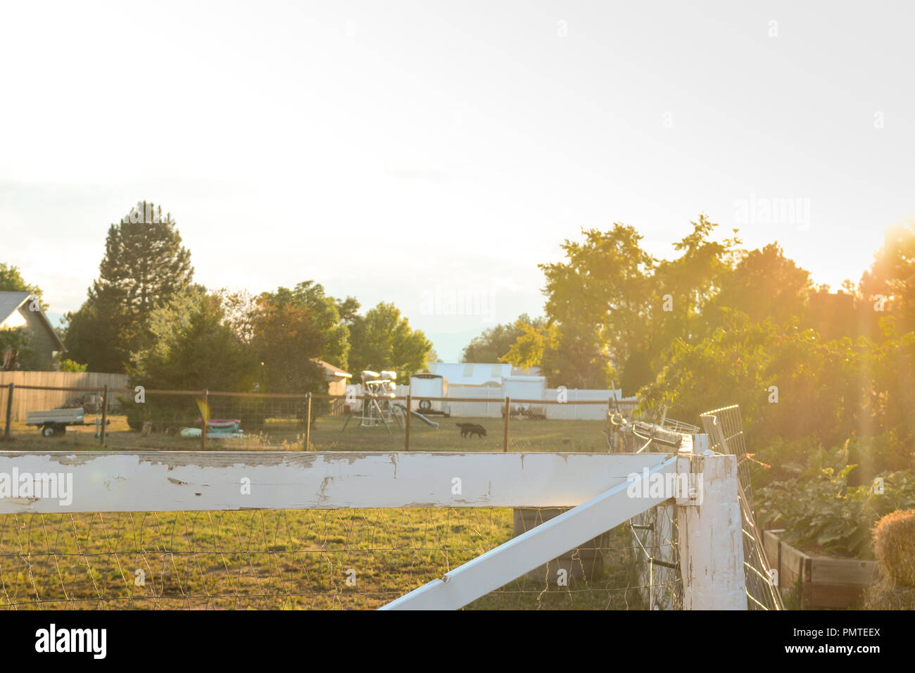 Sun Rising Over Fence Morning sunrise over a garden fence Stock Photo - Alamy