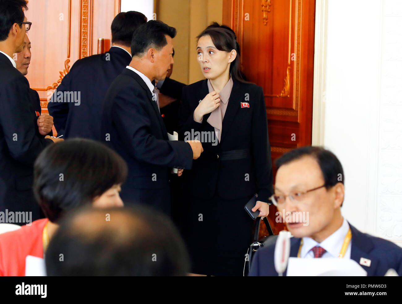Kim Yo Jong High Resolution Stock Photography And Images Alamy