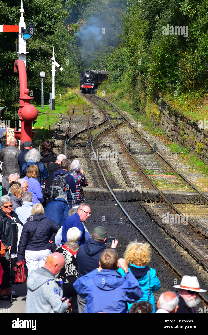Train arriving at Goathland Station on the North Yorkshire Moors railway UK Stock Photo