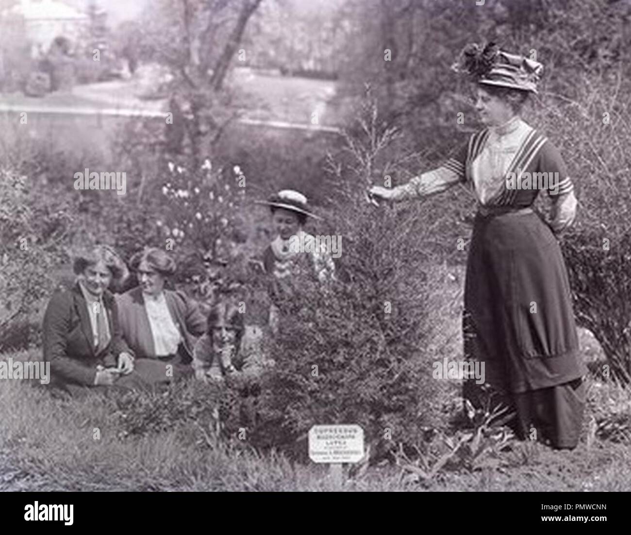 Blathwayt Col Linley • Suffragettes Charlotte Marsh Laura Ainsworth