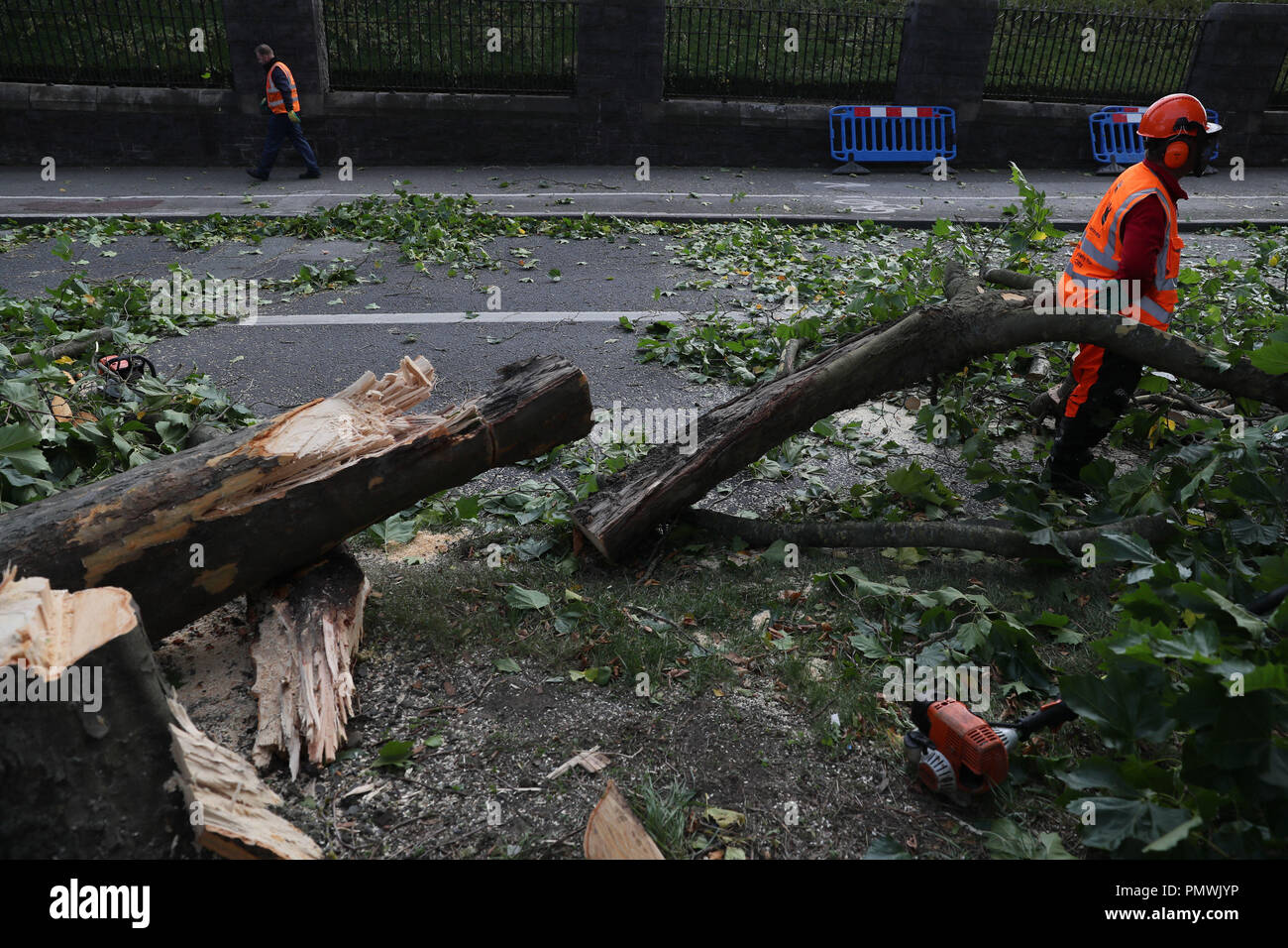 Workmen deal with a fallen tree on Finglass Road by Glasnevin Cemetary, Dublin as Storm Ali has made itself felt across the Republic of Ireland. Stock Photo