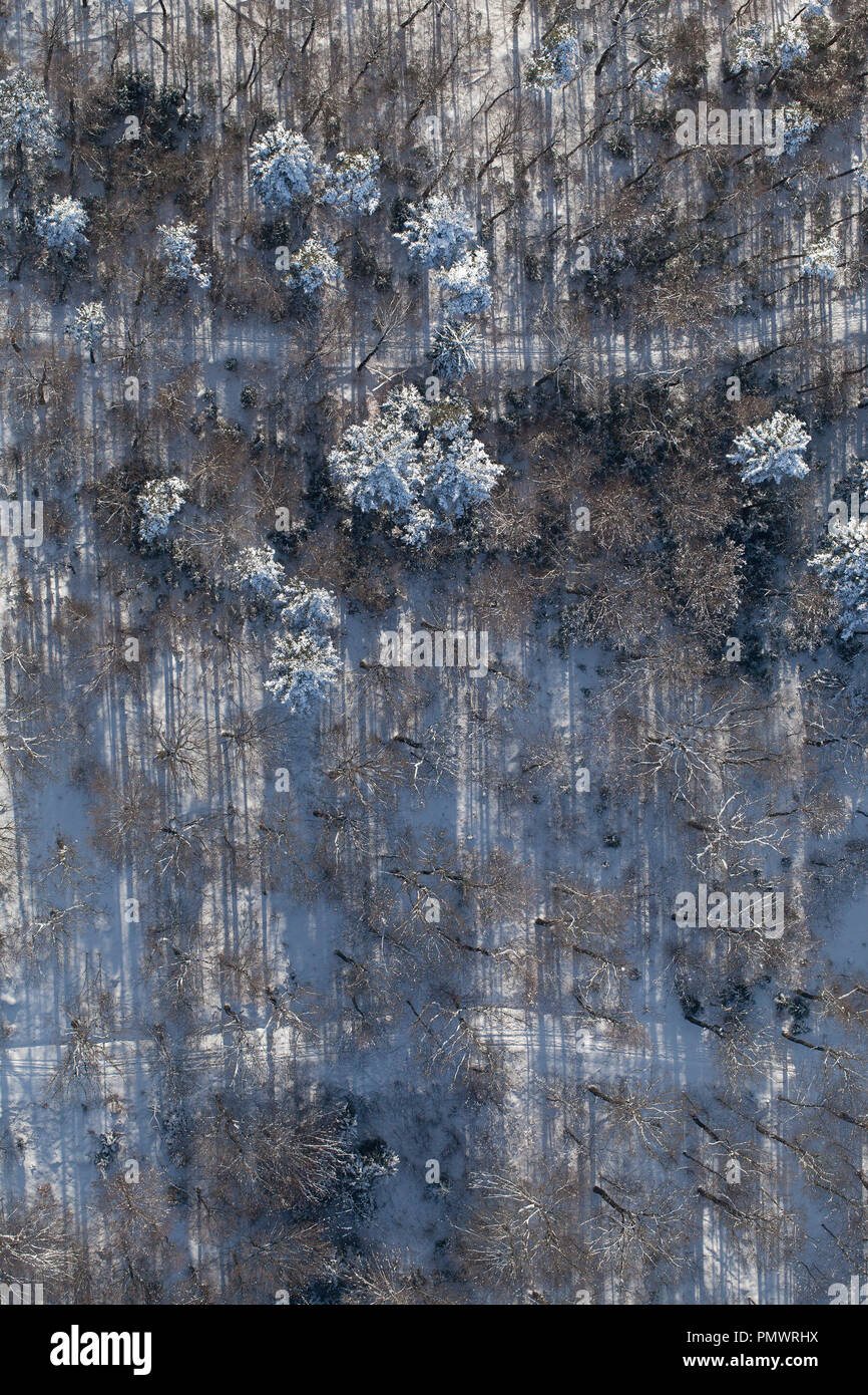 Aerial view snowy forest of trees Stock Photo - Alamy