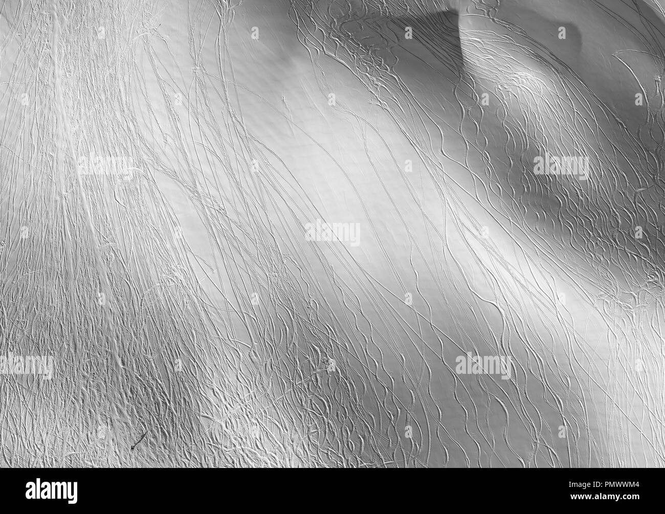 Aerial view ski tracks on snowy slope, Hochjoch, Vorarlberg, Austria Stock Photo